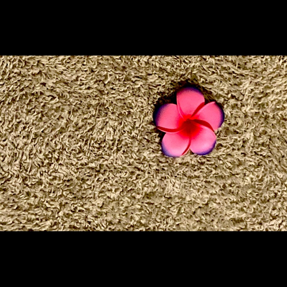 Hawaiian flower hair clip